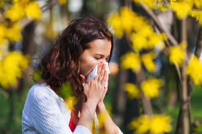 The Shocking Truth About Allergies